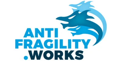 anti fragility works