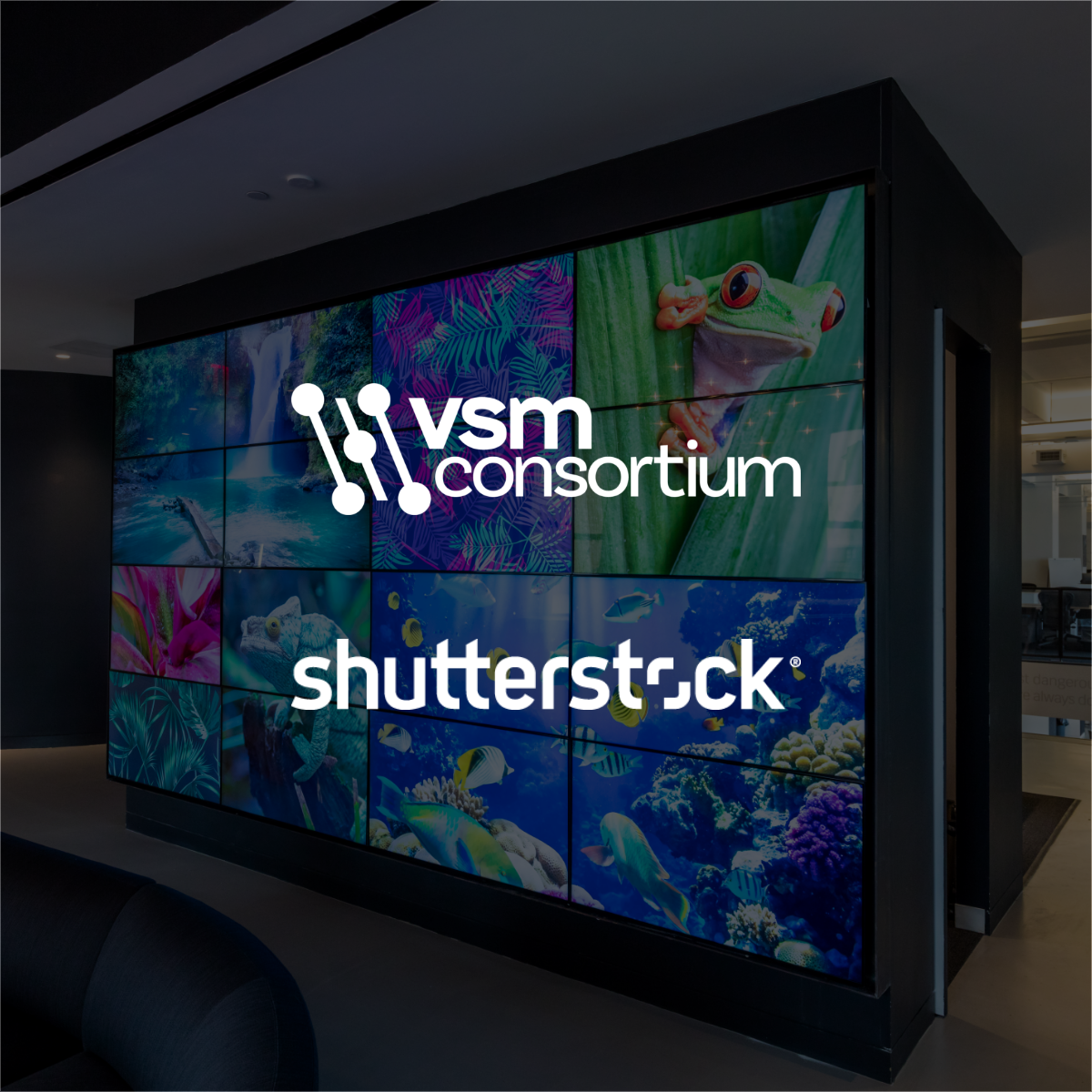 Shutterstock-leader-member-VSMConsortium